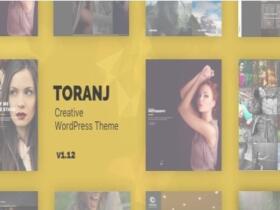 Theme Toranj Responsive Creative Wordpress Theme
