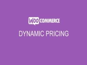 Plugin WooCommerce Dynamic Pricing Plugin WooCommerce Dynamic Pricing