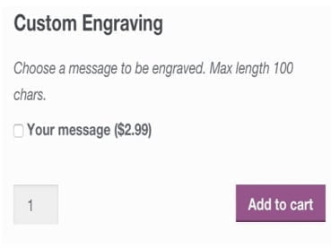 Plugin WooCommerce Product Add-Ons Plugin WooCommerce Product Add-Ons – Abbildung 2