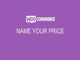 Plugin Woocommerce Name Your Price