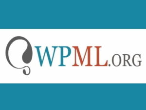 Plugin WPML String Translation
