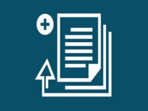 Plugin Wp Rich Snippets Front-End Entry Submit Addon