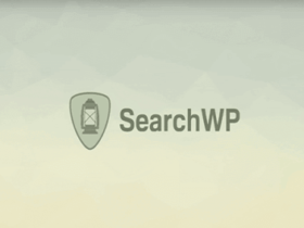 Plugin SearchWP Wordpress Plugin