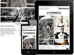 Theme Dessign Ecommerce WooCommerce Themes Theme Dessign Ecommerce Woocommerce Themes