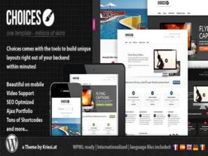 Theme Choices – Responsive Business And Portfolio
