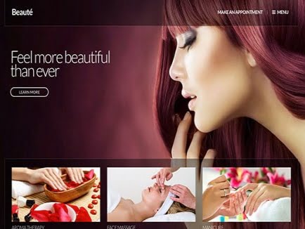 Theme CSS Igniter Beaute WordPress Theme Theme Css Igniter Beaute Wordpress Theme