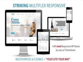 Theme Striking – Multiflex & Ecommerce Responsive Wp Theme
