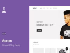 Theme Aurum – Minimalist Shopping Theme