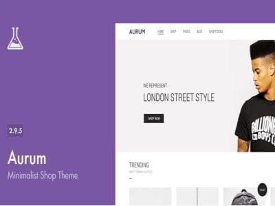 Theme Aurum – Minimalist Shopping Theme Theme Aurum – Minimalist Shopping Theme