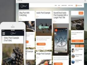 Theme Thrive Themes Storied Wordpress Theme