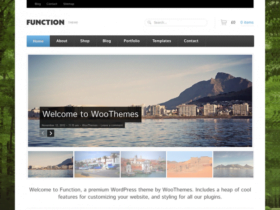 Theme Woothemes Function Woocommerce Themes