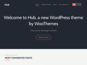 Theme Woothemes Hub Woocommerce Themes