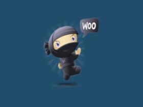 Plugin Wp Rich Snippets WooCommerce Reviews Addon Plugin Wp Rich Snippets Woocommerce Reviews Addon