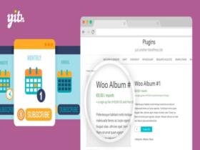 Plugin YITH WooCommerce Subscription Premium Plugin Yith Woocommerce Subscription Premium