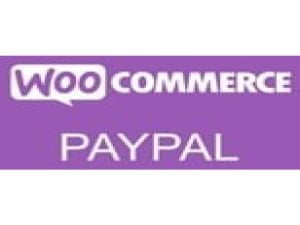 Plugin Woocommerce Paypal Pro
