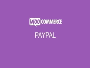 Plugin WooCommerce PayPal Pro Plugin Woocommerce Paypal Pro