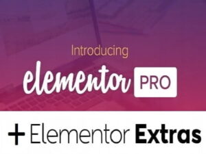 Paket Plugin Elementor Pro WordPress + Plugin Extras !