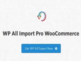 Plugin Soflyy WP All Import Pro Woocommerce Addon