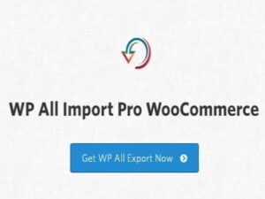 Plugin Soflyy WP All Import Pro Woocommerce Addon