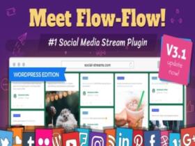 Plugin Flow-Flow – WordPress Social Stream Plugin Plugin Flow-Flow – Wordpress Social Stream Plugin