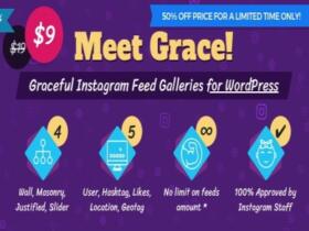 Plugin Instagram Feed Gallery Grace For WordPress Plugin Instagram Feed Gallery Grace For Wordpress