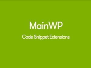 Plugin Mainwp Code Snippets Extension