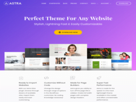 Theme Astra Pro Wordpress Theme by Brainstorm Force