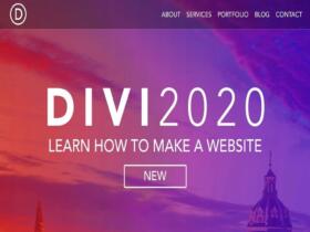 Theme Divi Wordpress