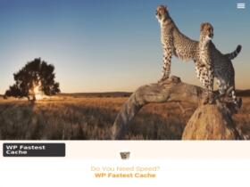 Plugin WP Fastest Cache Premium Plugin WP Fastest Cache Premium