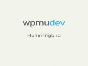 Plugin WPMU DEV Hummingbird Caching Plugin Plugin WPMU DEV Hummingbird Caching Plugin