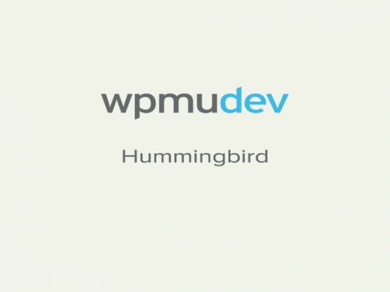 Plugin WPMU DEV Hummingbird Caching Plugin Plugin WPMU DEV Hummingbird Caching Plugin