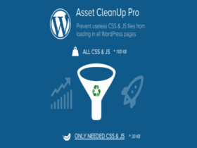 Plugin Asset Cleanup Pro Plugin Asset Cleanup Pro