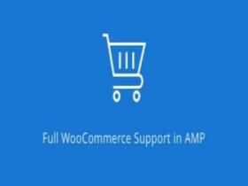 Plugin Amp WooCommerce Pro Plugin Amp Woocommerce Pro