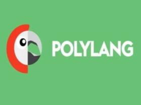 Plugin Polylang Pro Plugin Polylang Pro