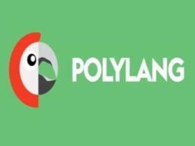 Plugin Polylang for WooCommerce Plugin Polylang for WooCommerce