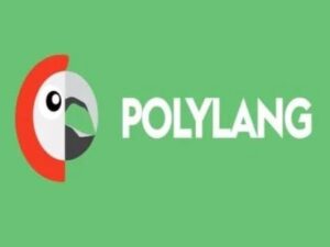 Plugin Polylang for WooCommerce