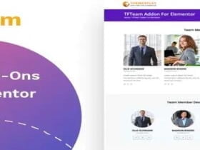Plugin Tfteam – Team Member Widget For Elementor