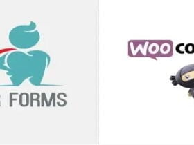 Plugin Super Forms – Woocommerce Checkout Add-On