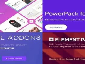Paket Elementor Pro + 4 Premium-Plugins!