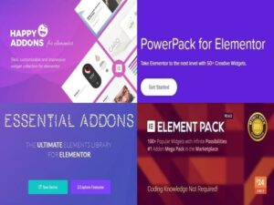 Paket Elementor Pro + 4 Premium-Plugins!