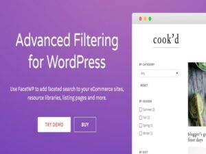 Plugin FacetWP