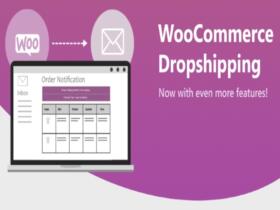 Plugin WooCommerce Dropshipping Plugin Woocommerce Dropshipping