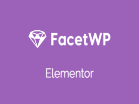 Plugin Facet WP Elementor Plugin Facet WP Elementor