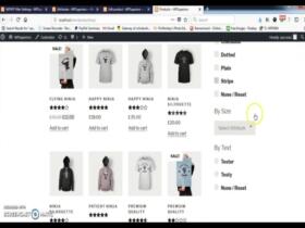 Plugin Product Filters for WooCommerce Plugin Product Filters for WooCommerce