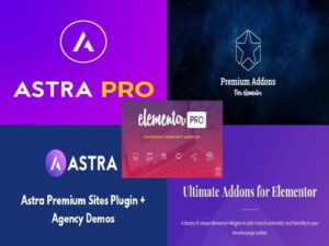Paket Elementor Pro + Astra Pro + Premium Sites + Ultimate Addons + GRATIS-EXTRAS !