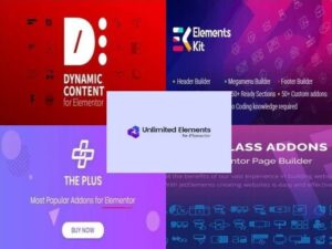 Paket Elementor Pro + 6 Plugins + GRATIS-EXTRAS !