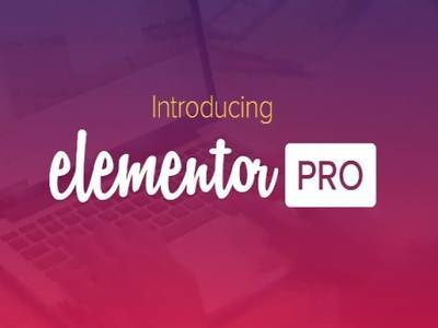 Paket Elementor Pro + 6 Plugins + GRATIS-EXTRAS ! | Shop mit Premium-WP-Plugins WPGPLHub.de