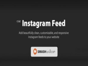 Plugin Instagram Feed Pro