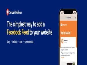 Plugin Custom Facebook Feed