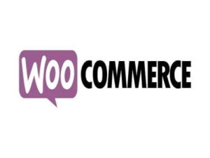 Plugin WooCommerce Payment Gateway Based Fees